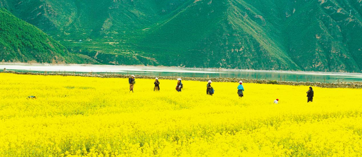 拉薩市有什么好玩的地方景點(diǎn)推薦？拉薩市十大旅游景點(diǎn)排名-西藏區(qū)拉薩市旅游攻略必去一日游有哪些免費(fèi)景點(diǎn)(圖1)