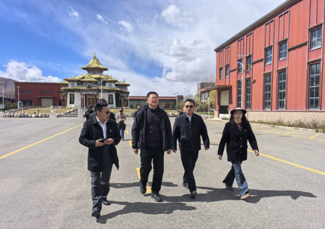 2024年当雄县人口_大悟县2024年事业单位统一公开招聘工作人员拟聘用公示(第一(2)